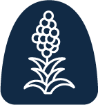 Ingredient Image 1