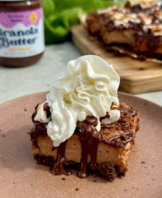 Brownie Batter S'mores Cheesecake !!! (Nut-Free, Gluten-Free)